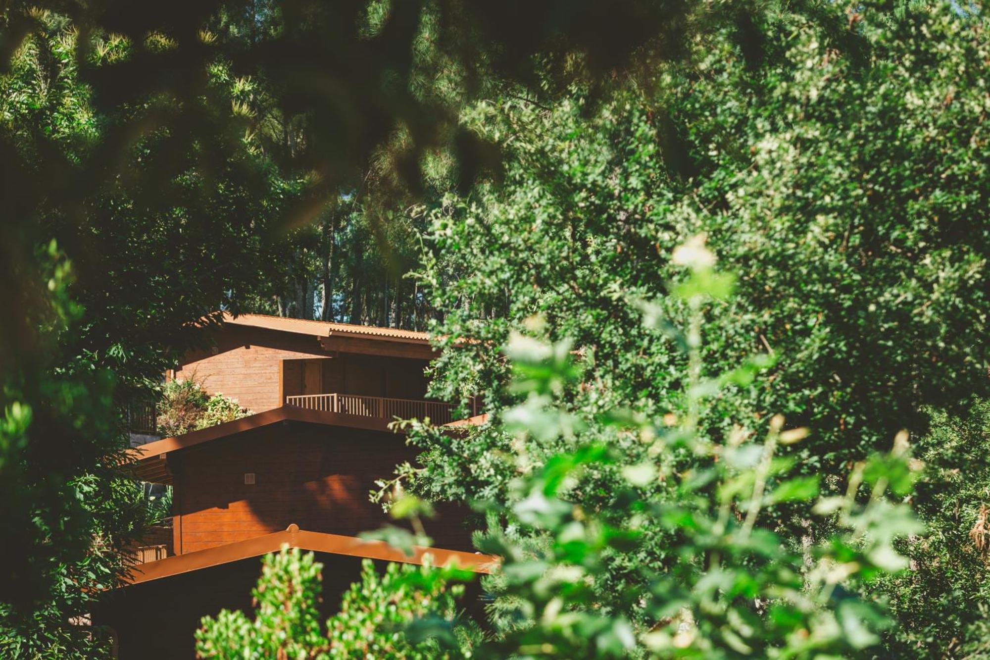Quinta Do Lameiro Tarouca Екстериор снимка