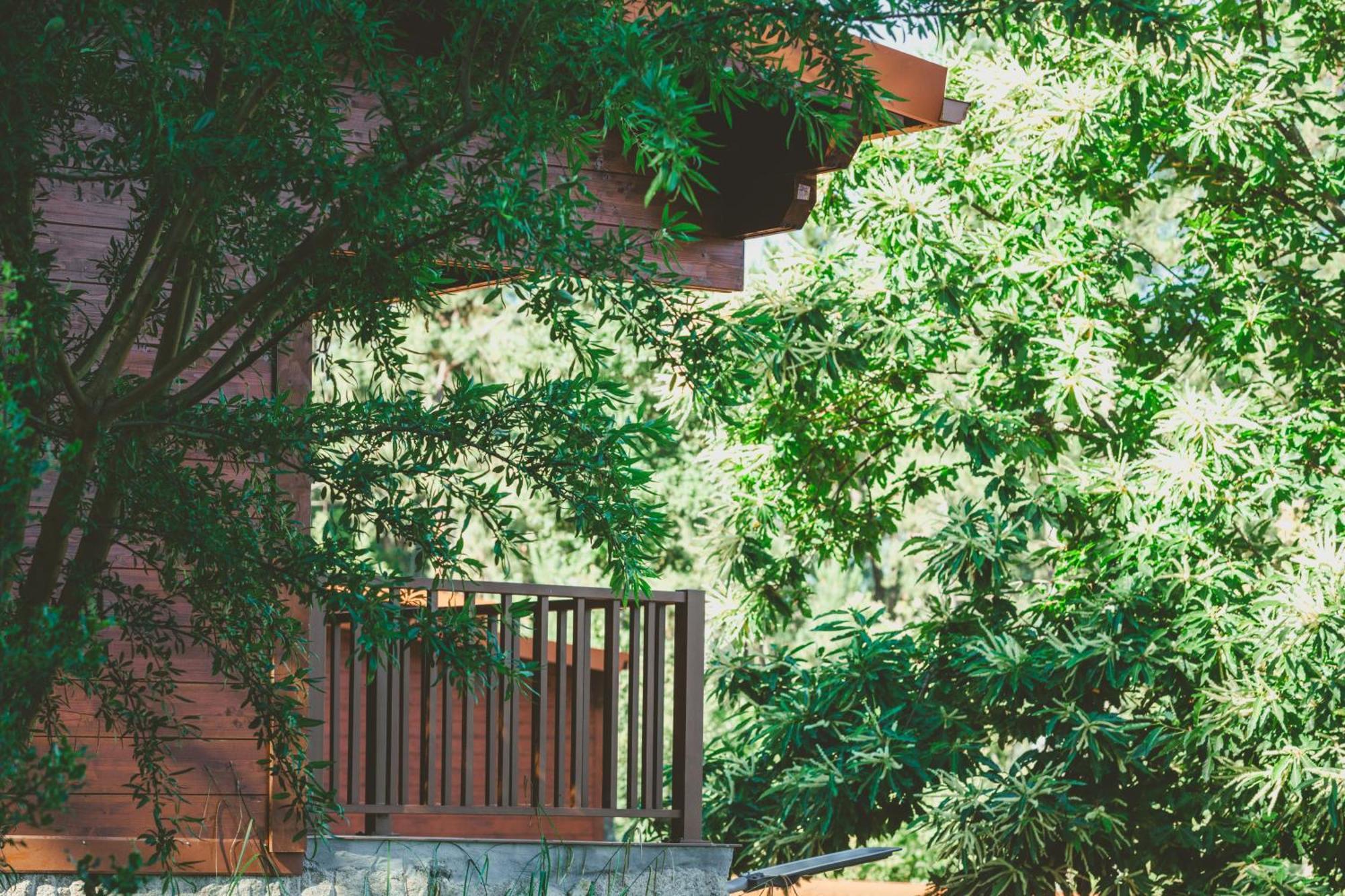 Quinta Do Lameiro Tarouca Екстериор снимка