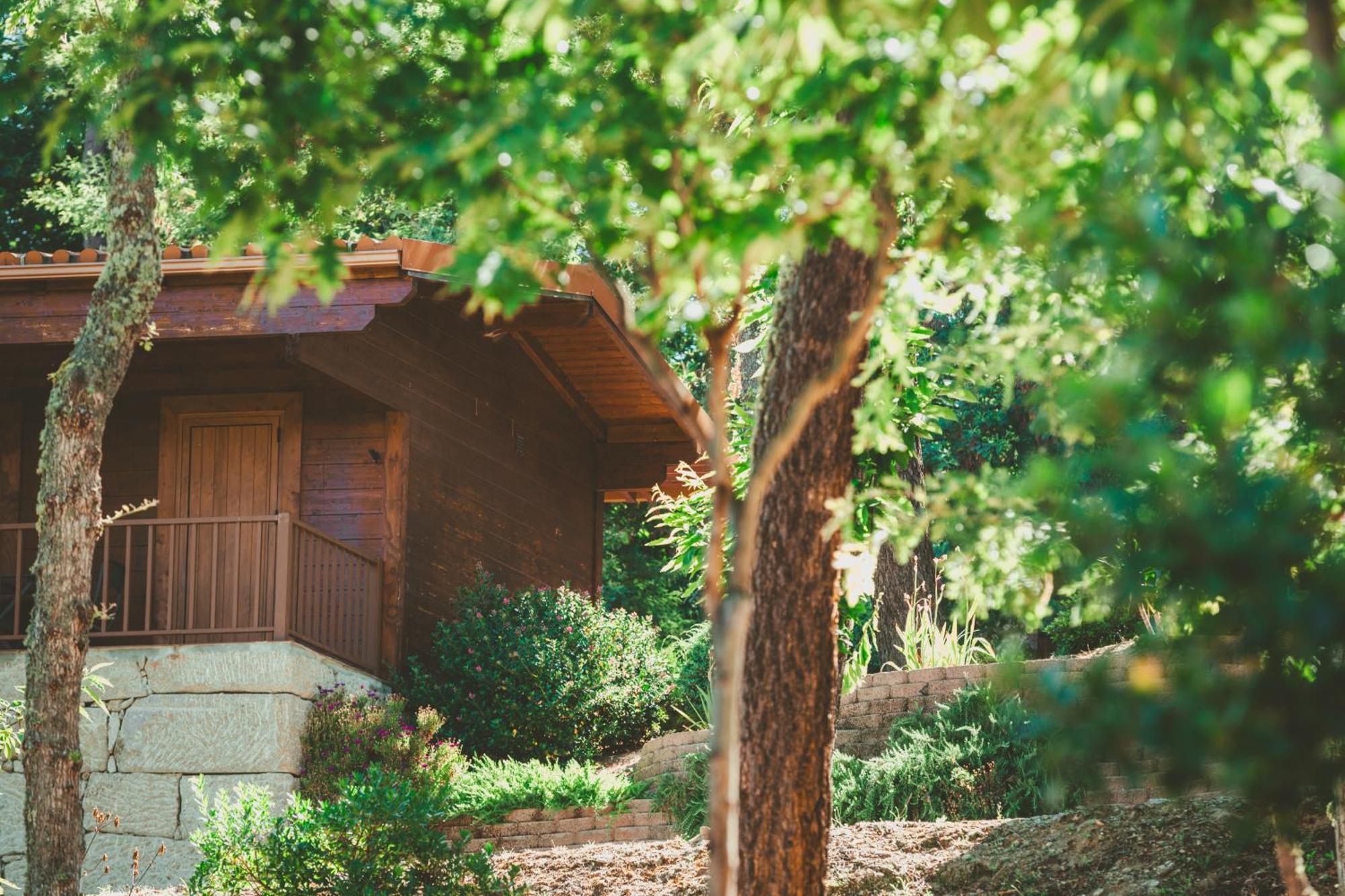 Quinta Do Lameiro Tarouca Екстериор снимка